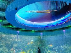 -海合安青岛极地海洋公园