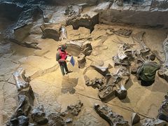 -自贡恐龙博物馆