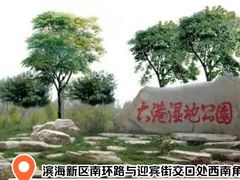 -大港湿地公园
