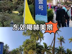 -东郊椰林