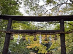 -野宫神社