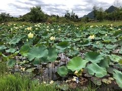 -云漫湖生态度假公园