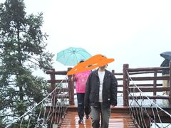 -紫鹊界梯田景区