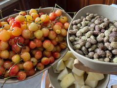 -合肥滨湖国家森林公园