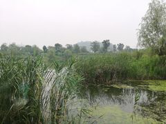 -山水间小院