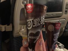 -新加坡航空公司(ION)