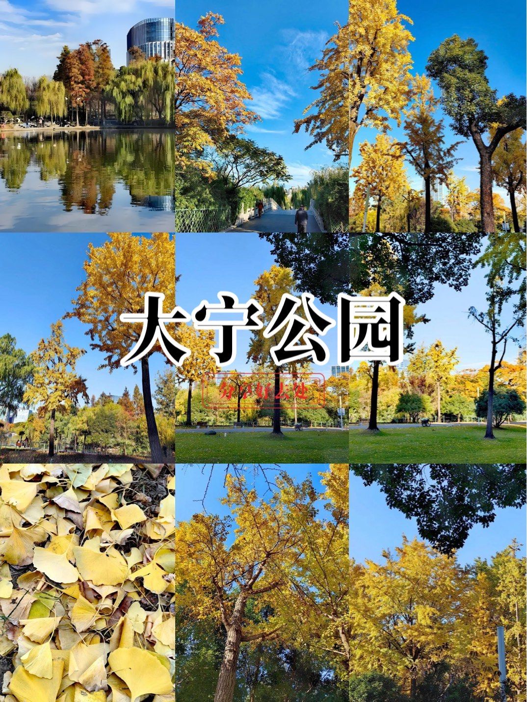 上海最美公园之一