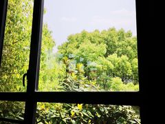 -上海财经大学(国定路校区)