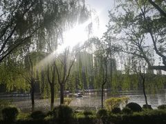 -西宁市人民公园(城西区)