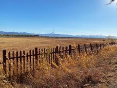 -野鸭湖国家湿地公园