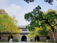 -灵谷景区