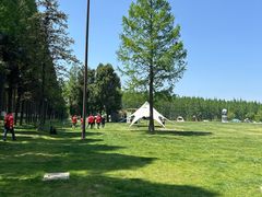 -黄海国家森林公园