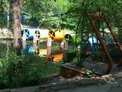 android_upload_pic-沈阳植物园