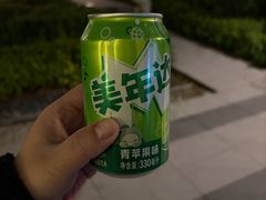 -燕子煨汤(山海关路店)