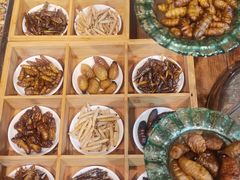 -昆虫窝子·特色云南菜(拓东路总店)