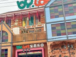 点击看大图 -宝燕乐园(闵行旗舰店)