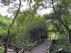 -海口火山口国家地质公园