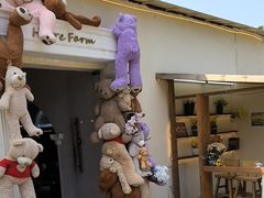 -HERRE·FARM 赫尔露营农场·团建聚会包场