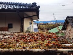 -上色见熊野座神社