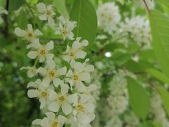 -长春公园(普阳街道)