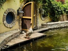 -南宫五洲植物乐园