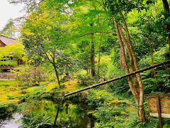 -三千院