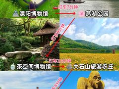 -紫藤园·天目湖大鱼头(南山竹海店)