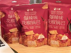 -泰康之家·申园