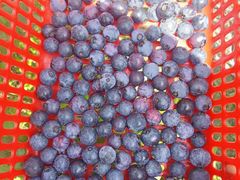 -千龙湖生态旅游度假区