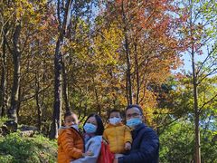 -广州市石门国家森林公园