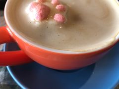 -猫咪博物馆(顶澳仔猫街店)