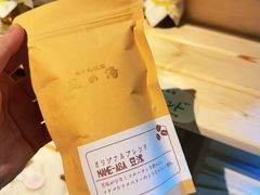 -东莞植物园