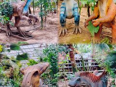 -呀路古热带植物园