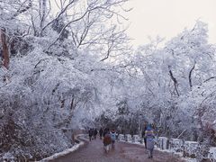 -紫金山山顶公园