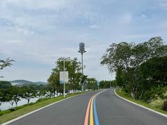 -羊山湖公园