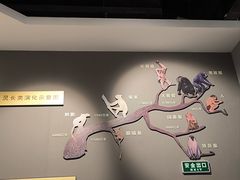 -辽宁古生物博物馆