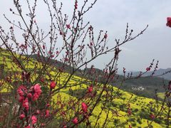 -石潭村