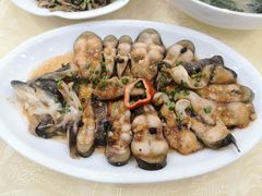 豉汁金钱片蒸西江钳鱼-嘉华海鲜酒家(龙津中路店)