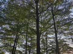 -厦门园林博览苑