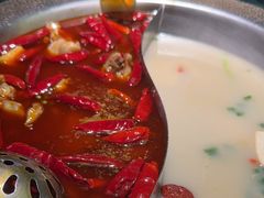 -麻田会 ·鲜活现烹·牛蛙火锅(珠江新城维家思广场店)