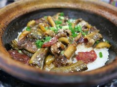 -红星光发煲仔饭(大石街店)