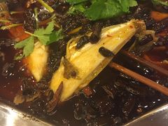 -川道拐耗儿鱼(旗舰店)