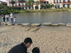 游乐设施-歌斐颂巧克力小镇