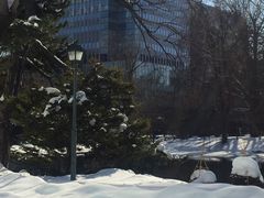 -北海道厅旧本厅舍(旧本庁舎)