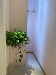 点击看大图 -薇兰专业脱毛连锁机构