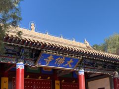 -张掖大佛寺景区