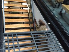 -成都皈徕栖精品酒店(四川大学九眼桥店)