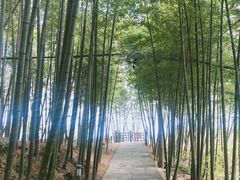 -径山寺