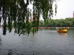 景点-沈阳南湖公园