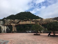 -内乡宝天曼生态旅游区